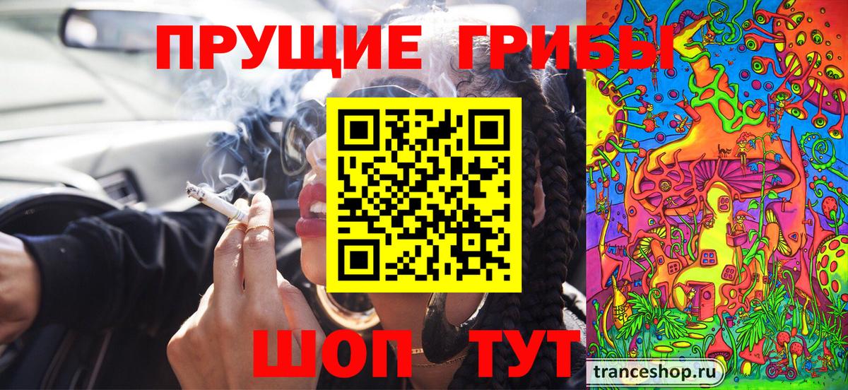 Галлюциногенные грибы прущие грибы  Псилоцибиновые грибы Psilocybine cubensis  Осинники  Вход с VPN 